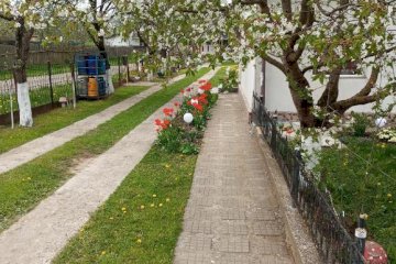 Căsuța Bunicilor