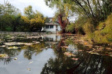 Fisherman's Cottage