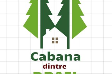 Cabana Dintre Brazi