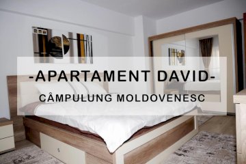 Apartament David