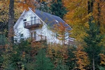 Șoaptele pădurii & Căsuța din pădure