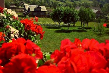 Pensiunea Cristiana-Bucovina