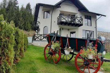 Bucovina Sky View