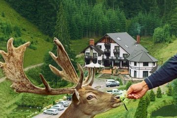 Pensiunea Poiana Izvoarelor